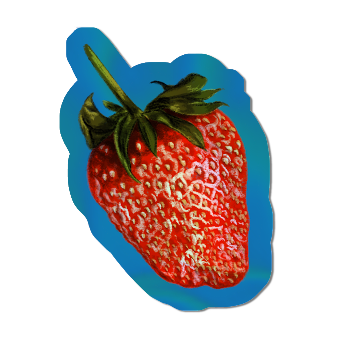 Strawberry - Sticker