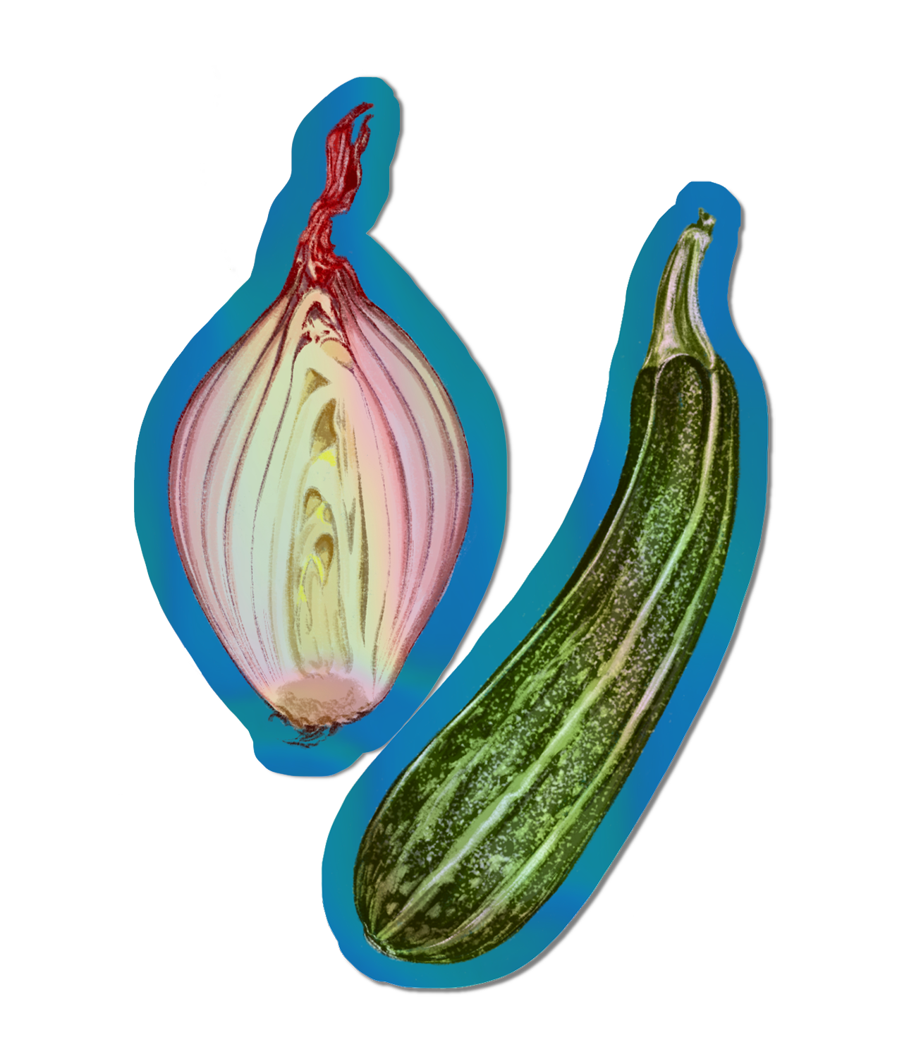 Shallot and Courgette - Holographic Sticker.png