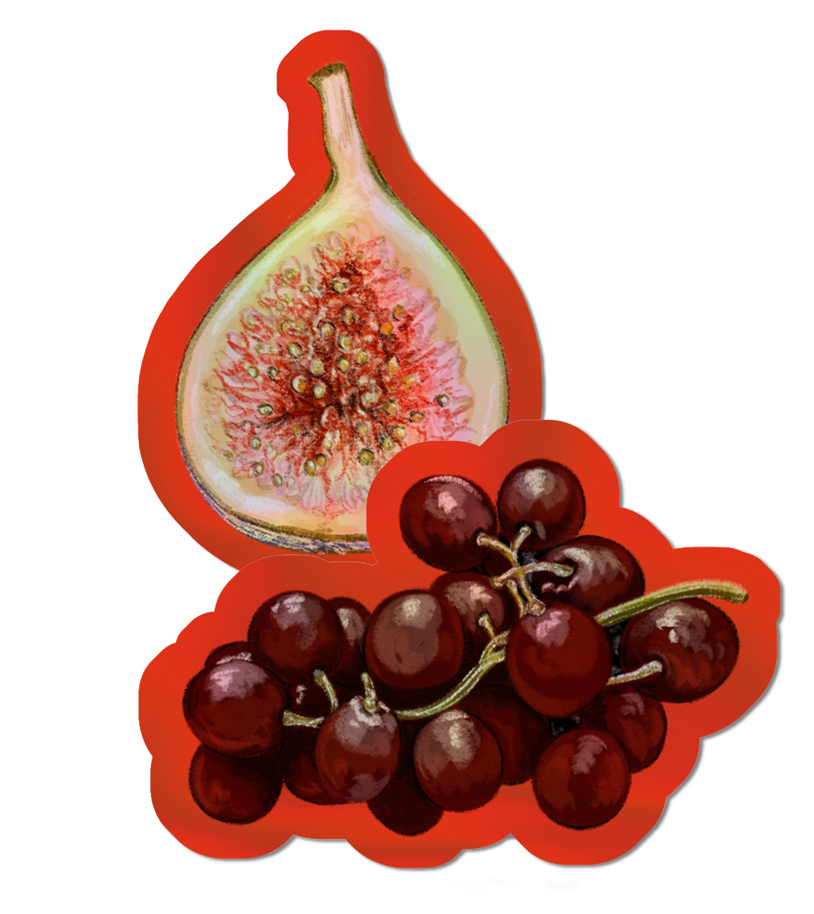 GRAPES and fig.png