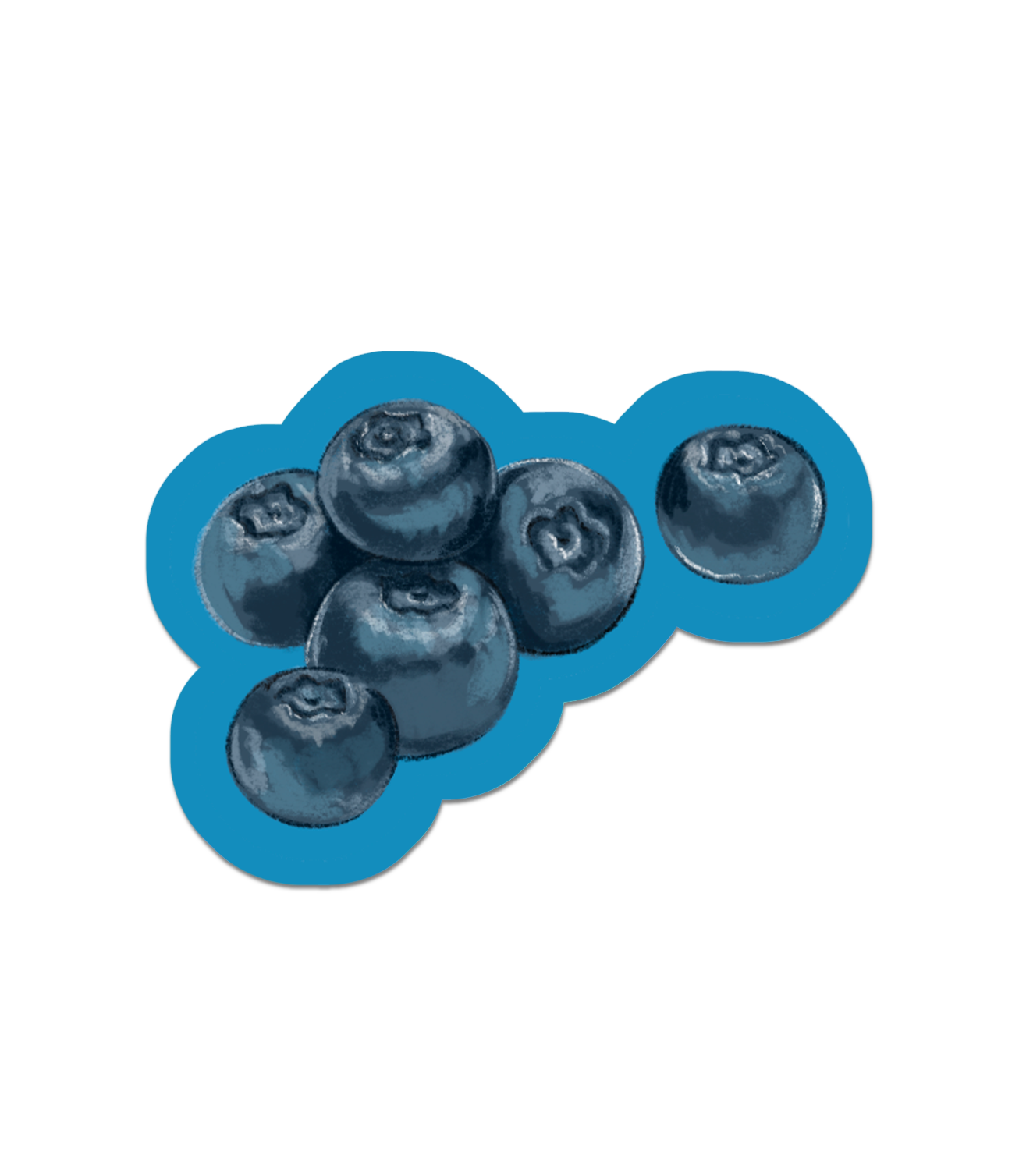 Blueberries - Glossy Sticker.png