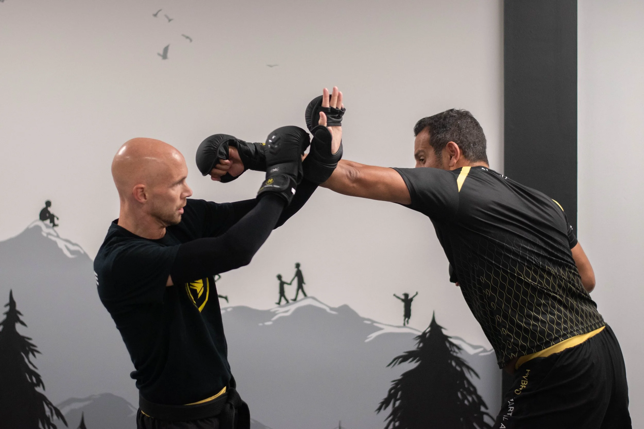 Two men practicing martial arts in a gym with a mountain-themed mural in the background. One man is throwing a punch while the other blocks with padded gloves.