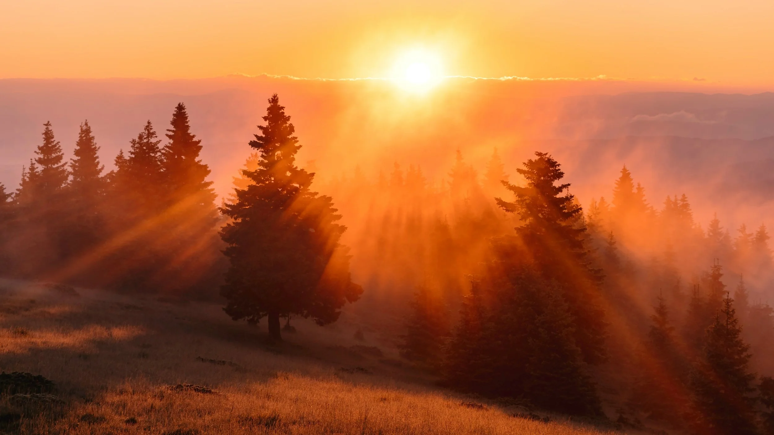 Morning Prayer: To Love &amp; Serve