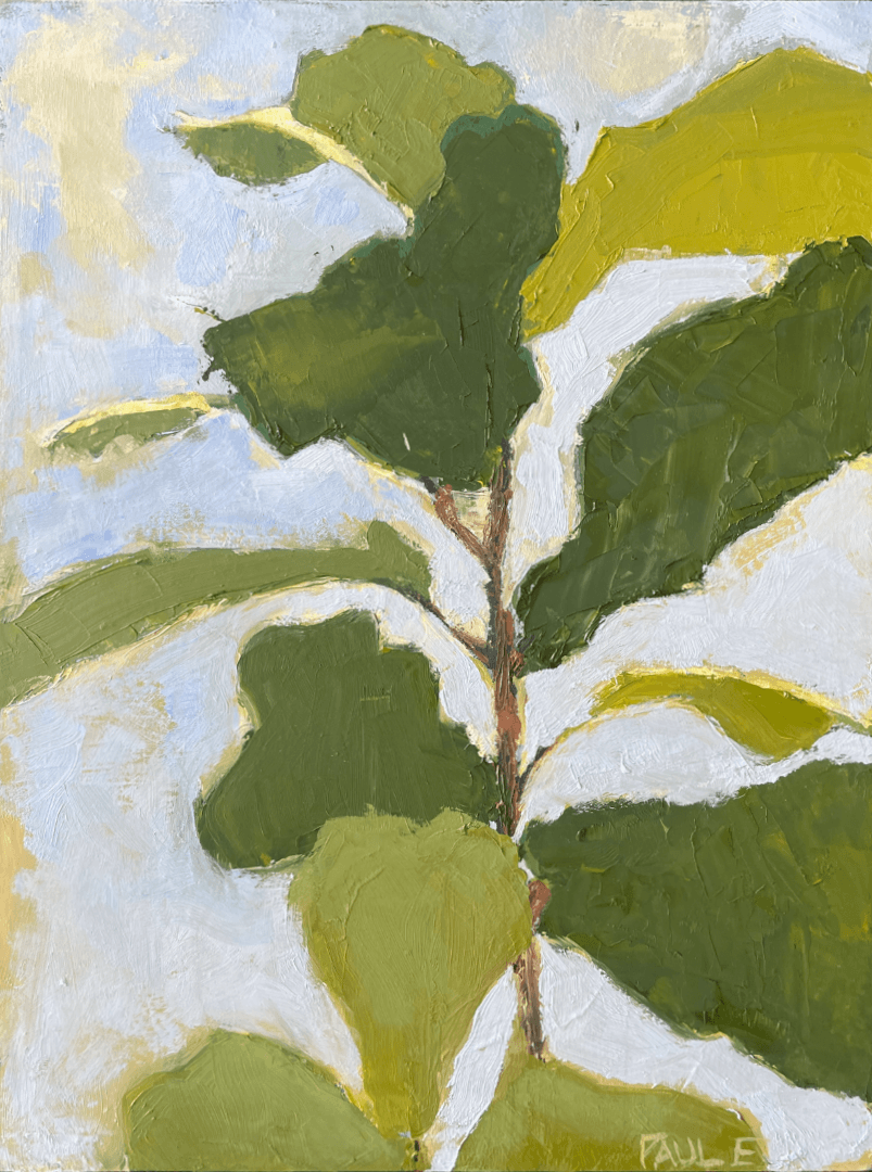 leaves and sky