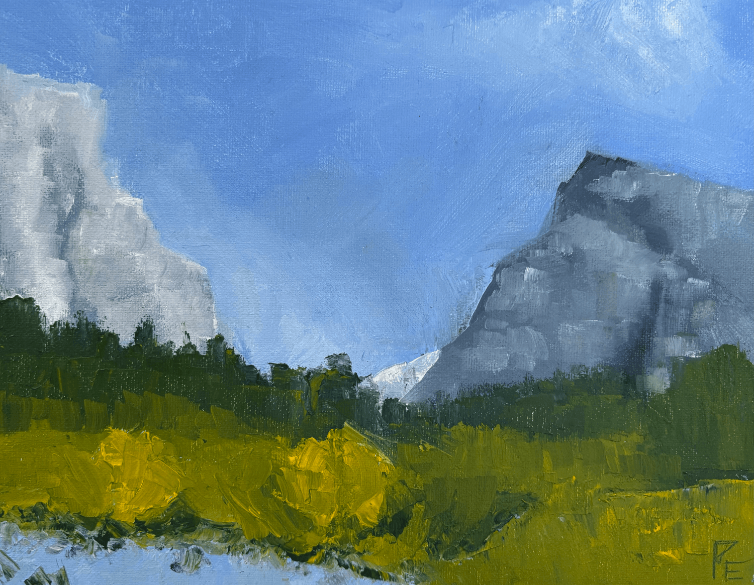 park-study-one.png