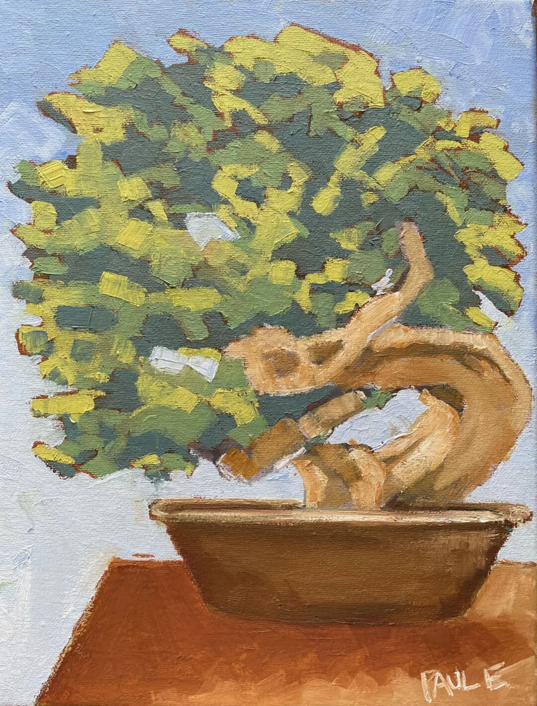 bonsai