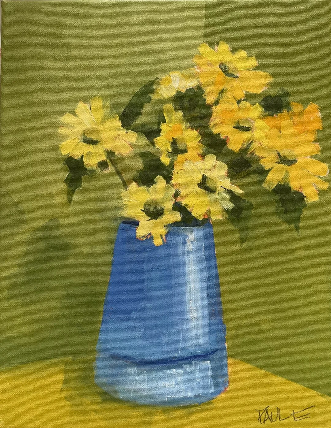 claymont daisies