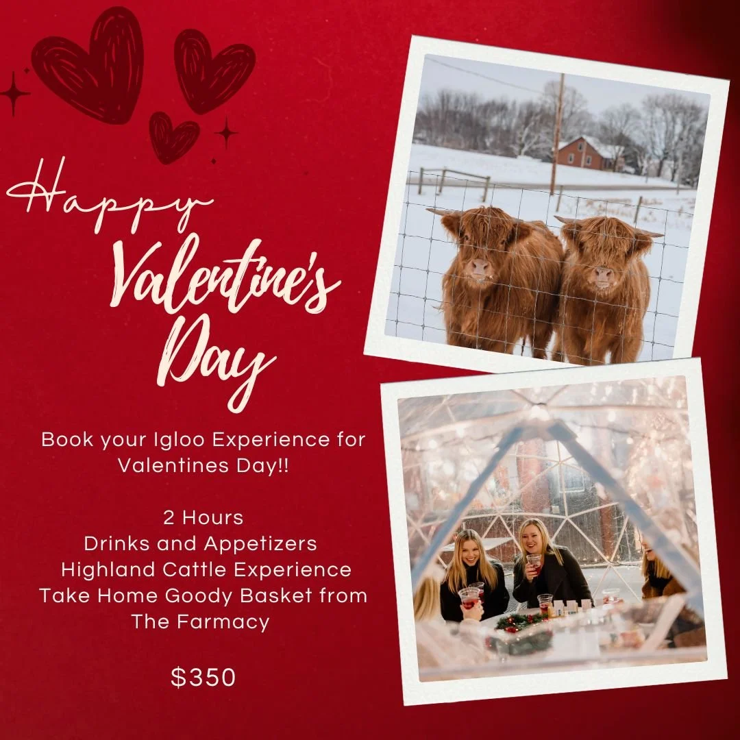 Valentines Igloo Experience