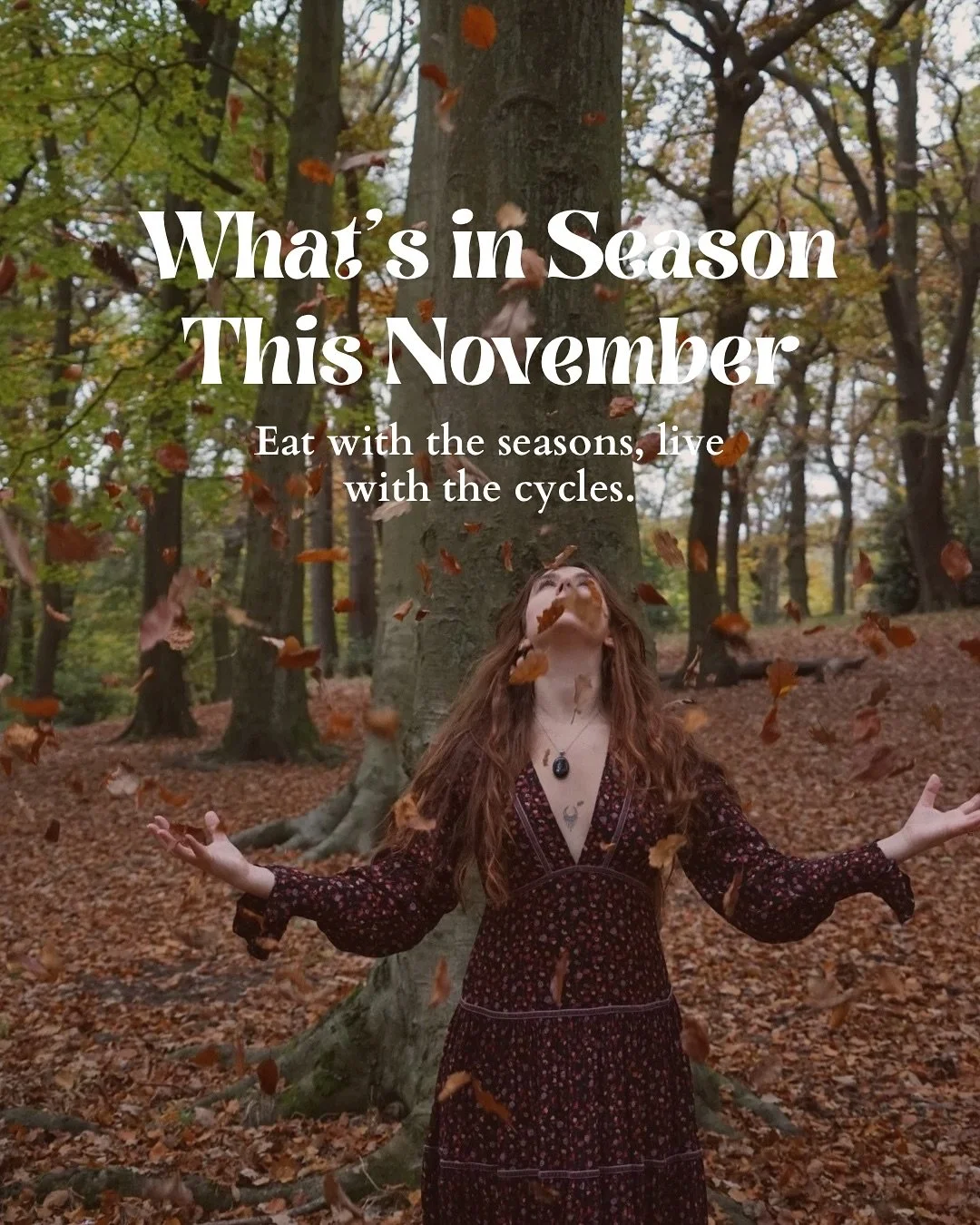 As the air cools and the days grow shorter, November calls us to root down. 

This month&rsquo;s harvest is full of grounding foods 🎃 and hardy herbs 🌿 &mdash; perfect for nourishing your body and supporting immunity through the darker 🌚 season.

