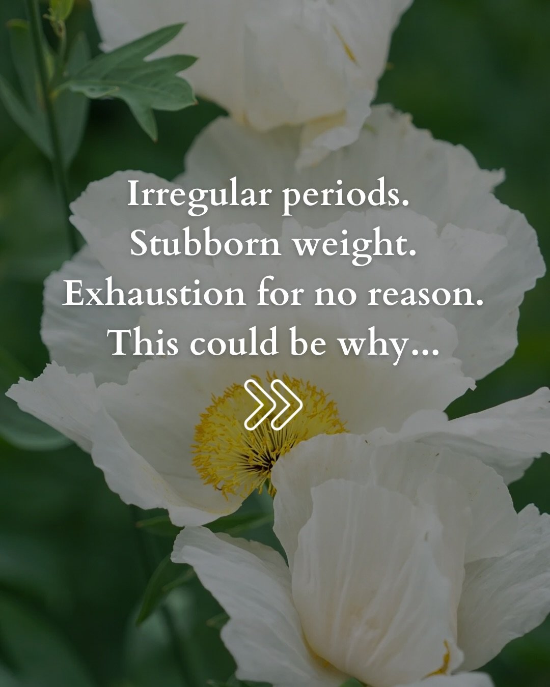 If you&rsquo;ve been told your labs are &ldquo;normal&rdquo; but something still feels off &mdash; this one&rsquo;s for you.

PCOS (Polycystic Ovary Syndrome) affects 1 in 10 women, and it&rsquo;s one of the most underdiagnosed hormonal conditions ou