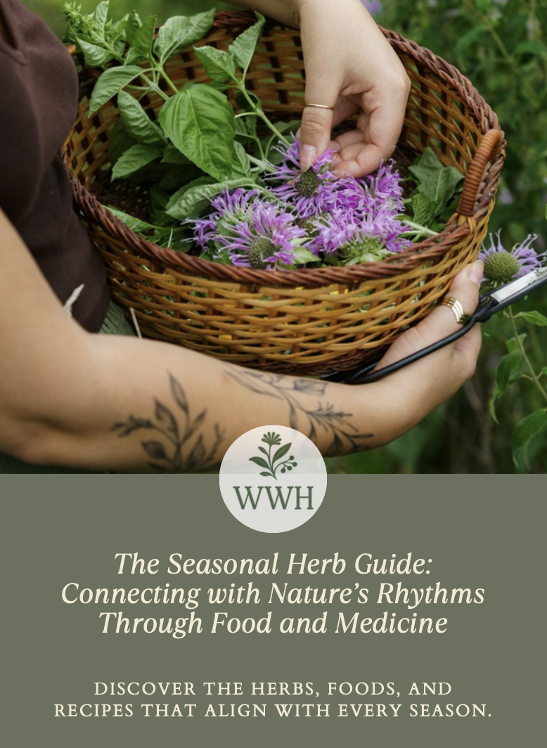 The Seasonal Herb Guide: Connecting with Nature’s Rhythms Through Food and Medicine