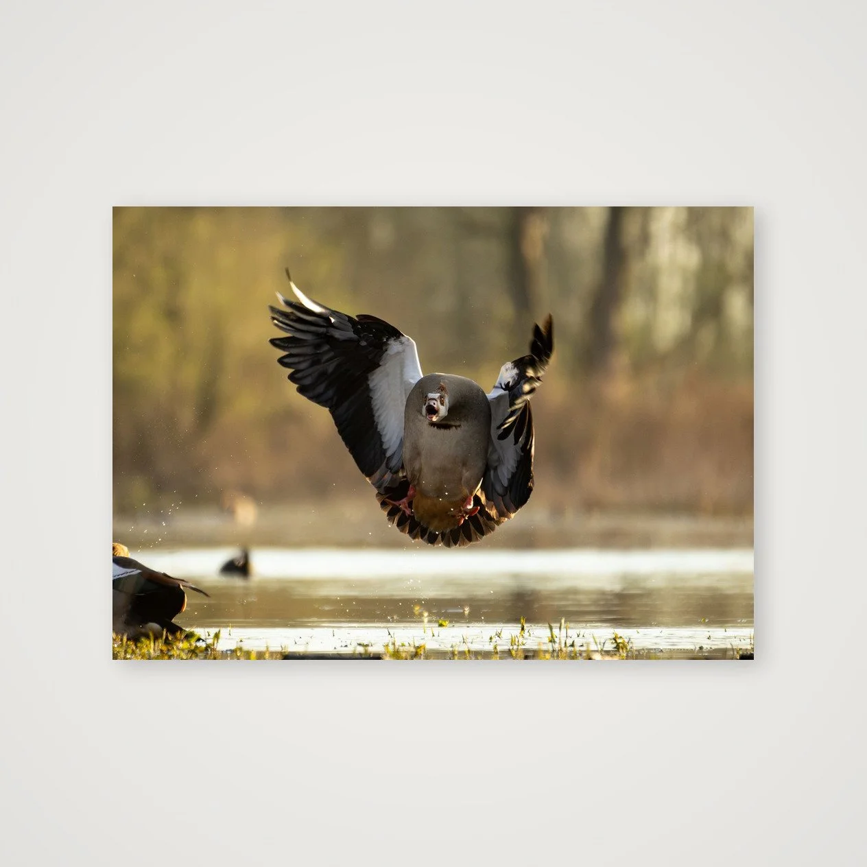 shot_table_f804ab79_43fd6ad2.jpg