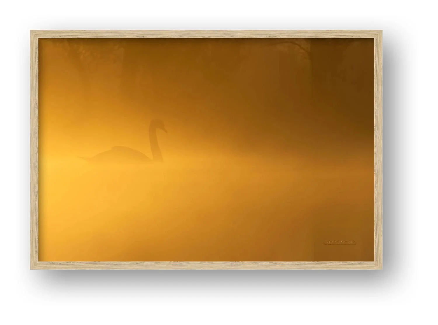 preview_ff8e3220_7c30f72a.jpg