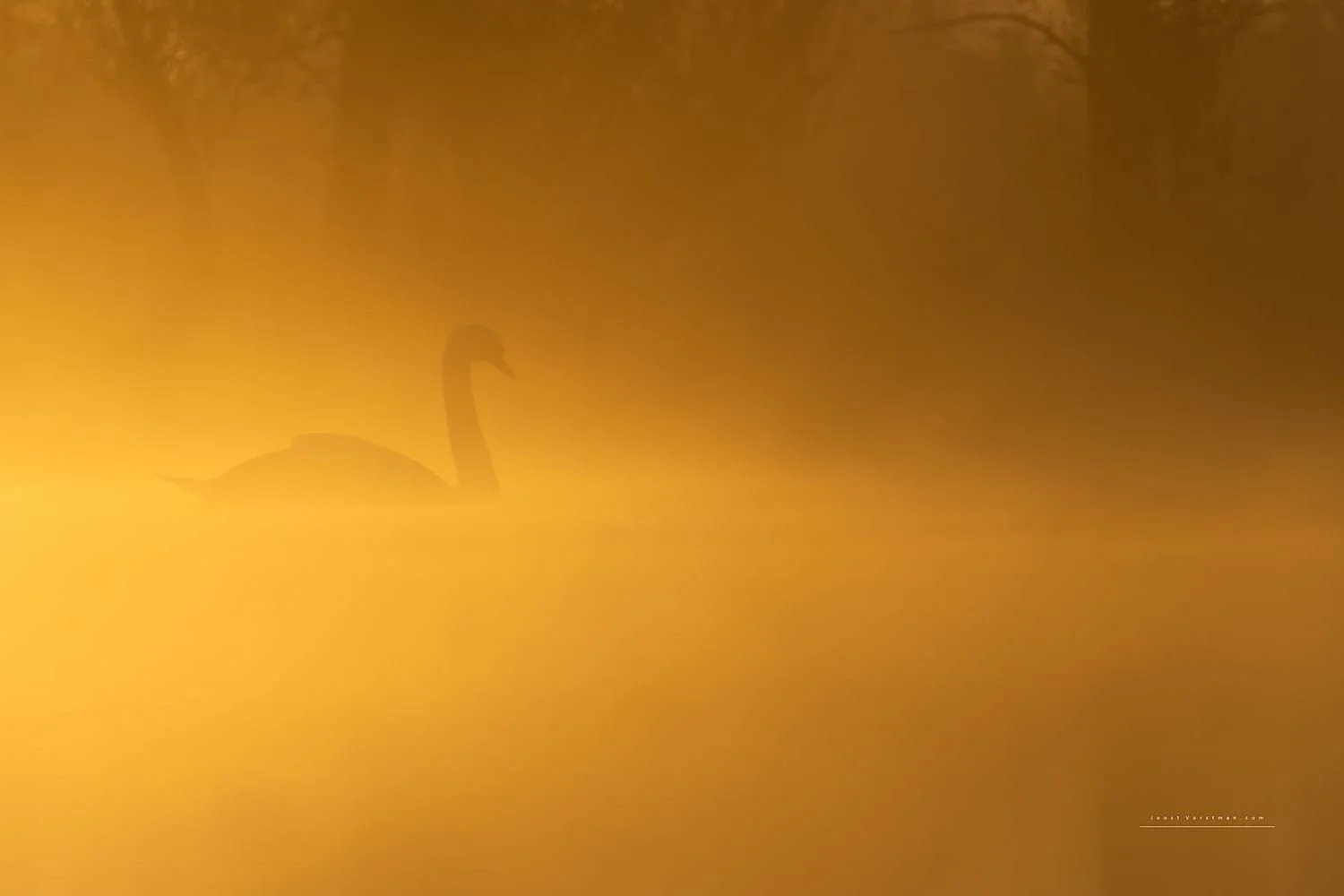 preview_c3fa3715_1d099e8b.jpg