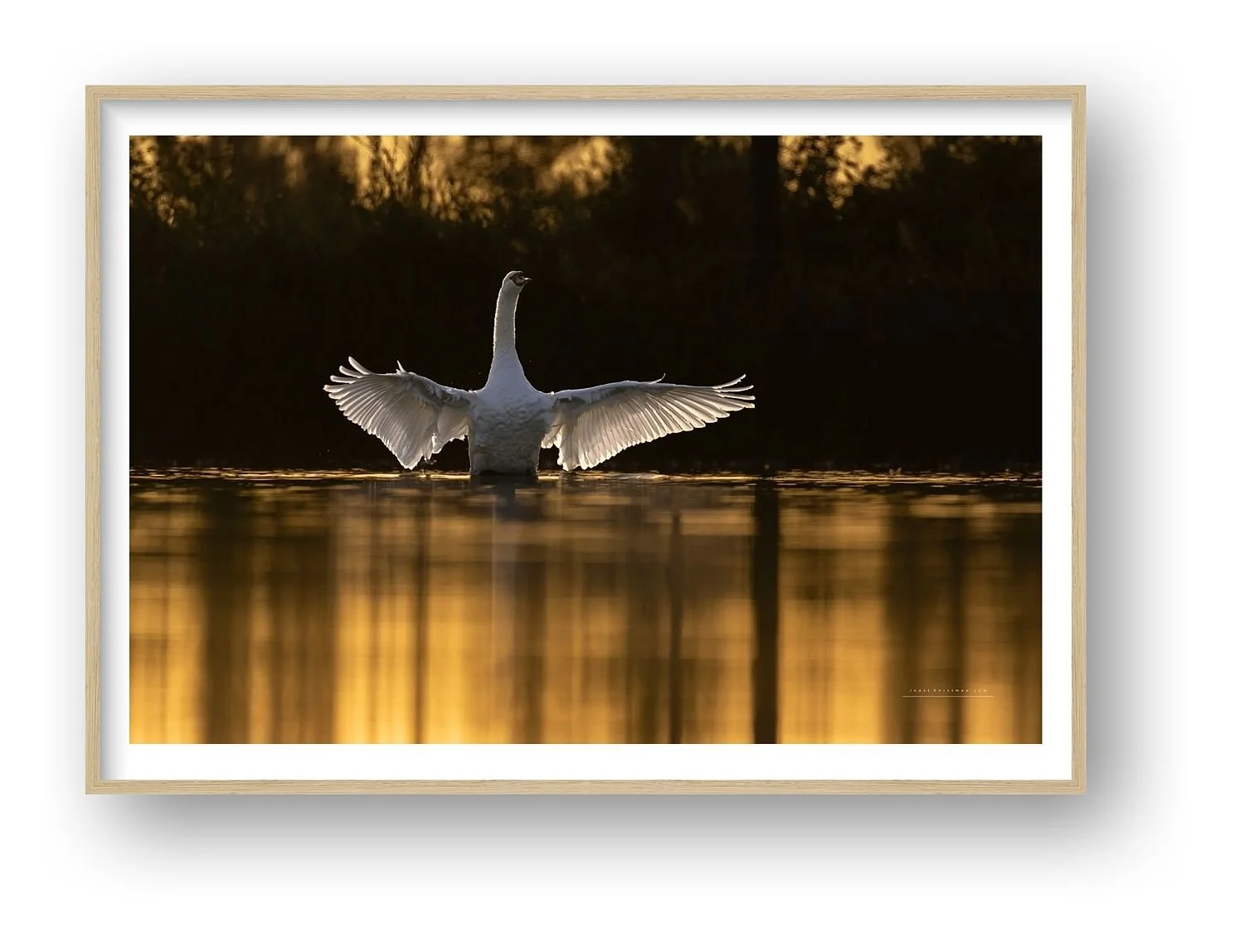 preview_7d96880f_1d668a79.jpg