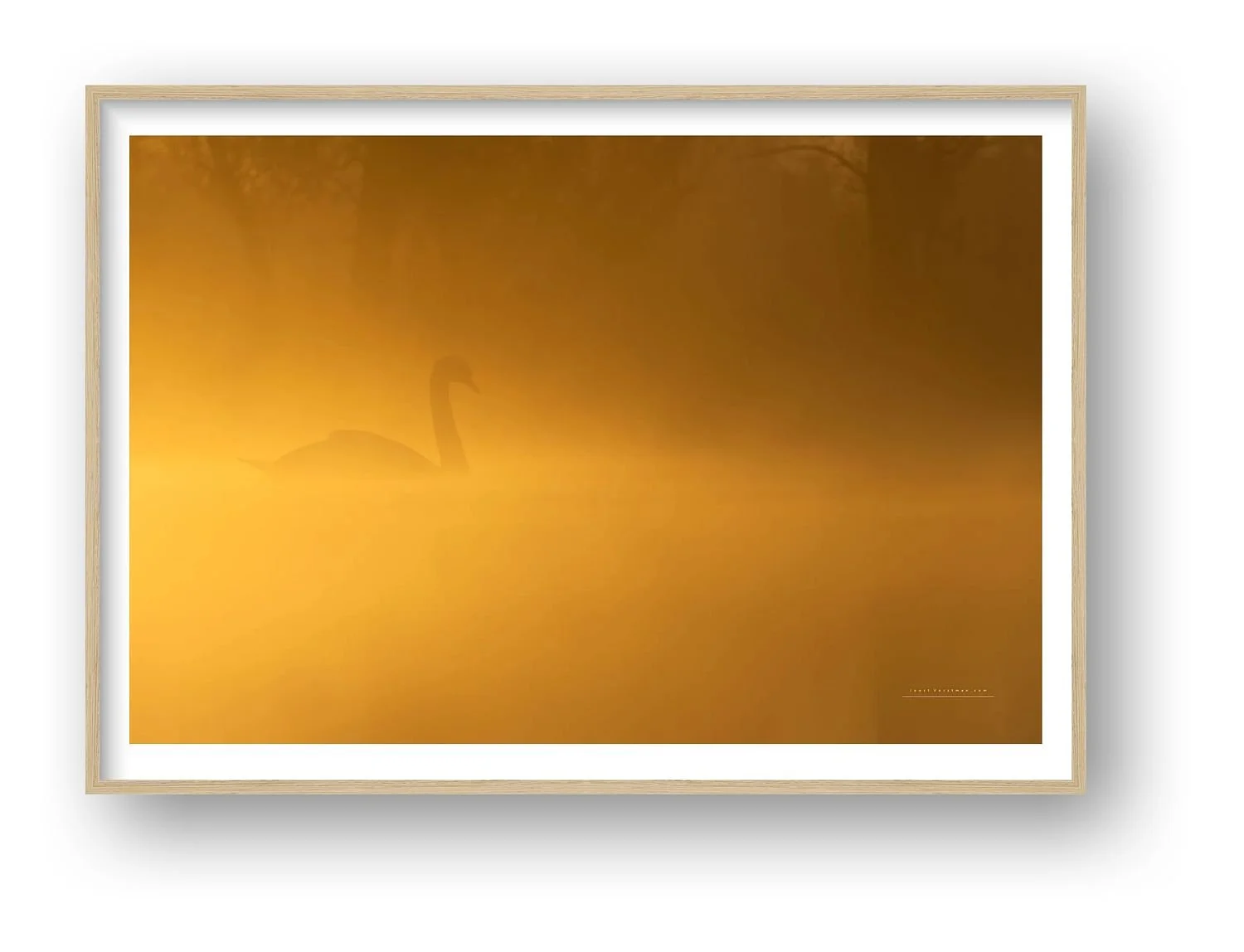 preview_9246aa74_88073ff6.jpg
