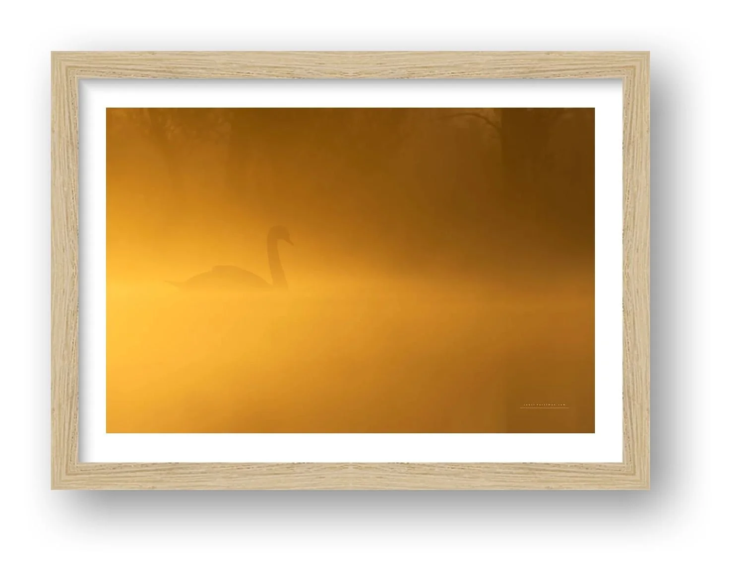 preview_89ebb635_3d4e1fa9.jpg