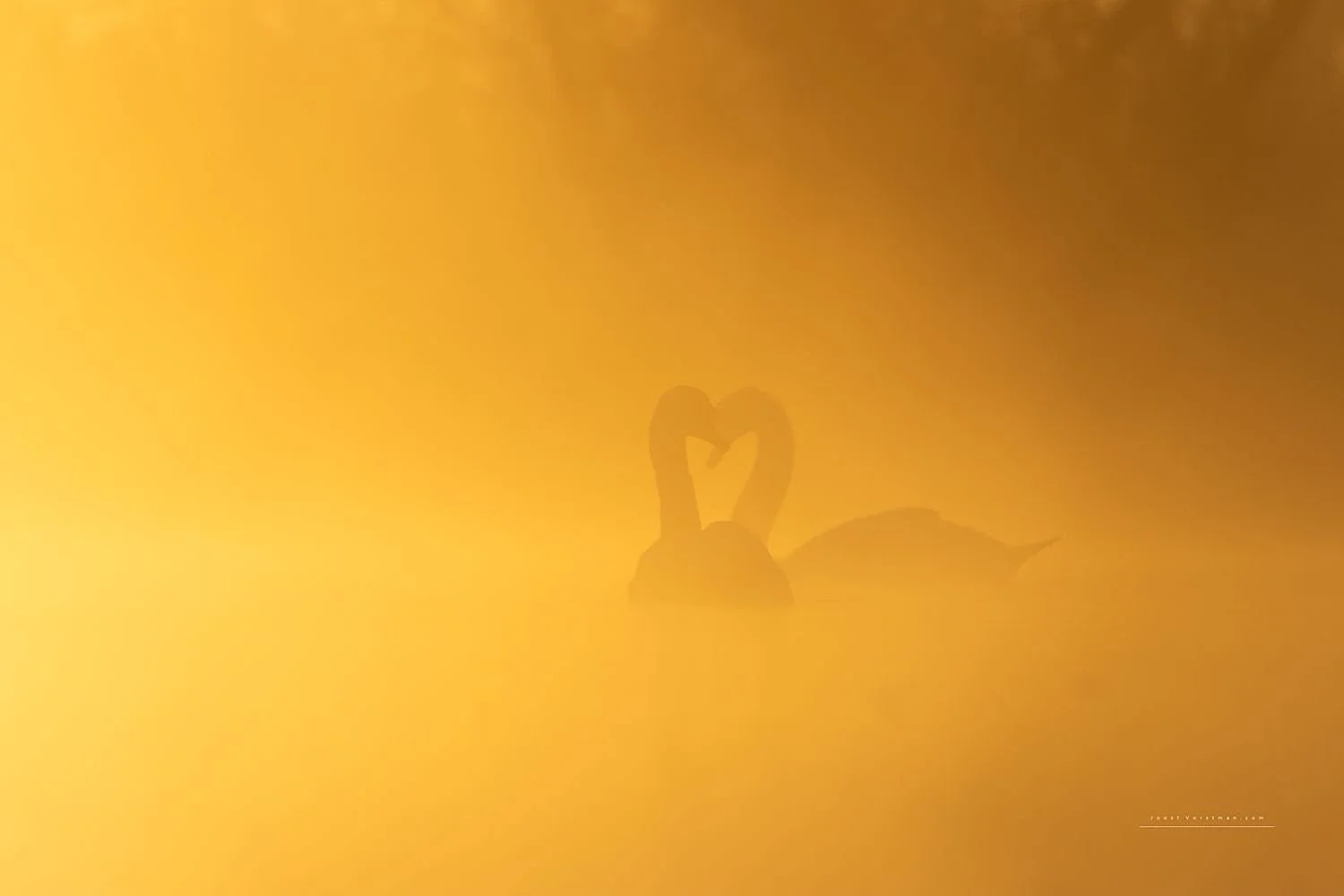 preview_34186ed5_5ad887f7.jpg