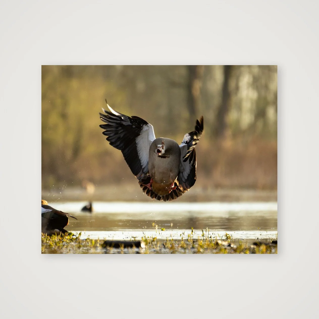 shot_table_b3ec7731_d37a6481.jpg
