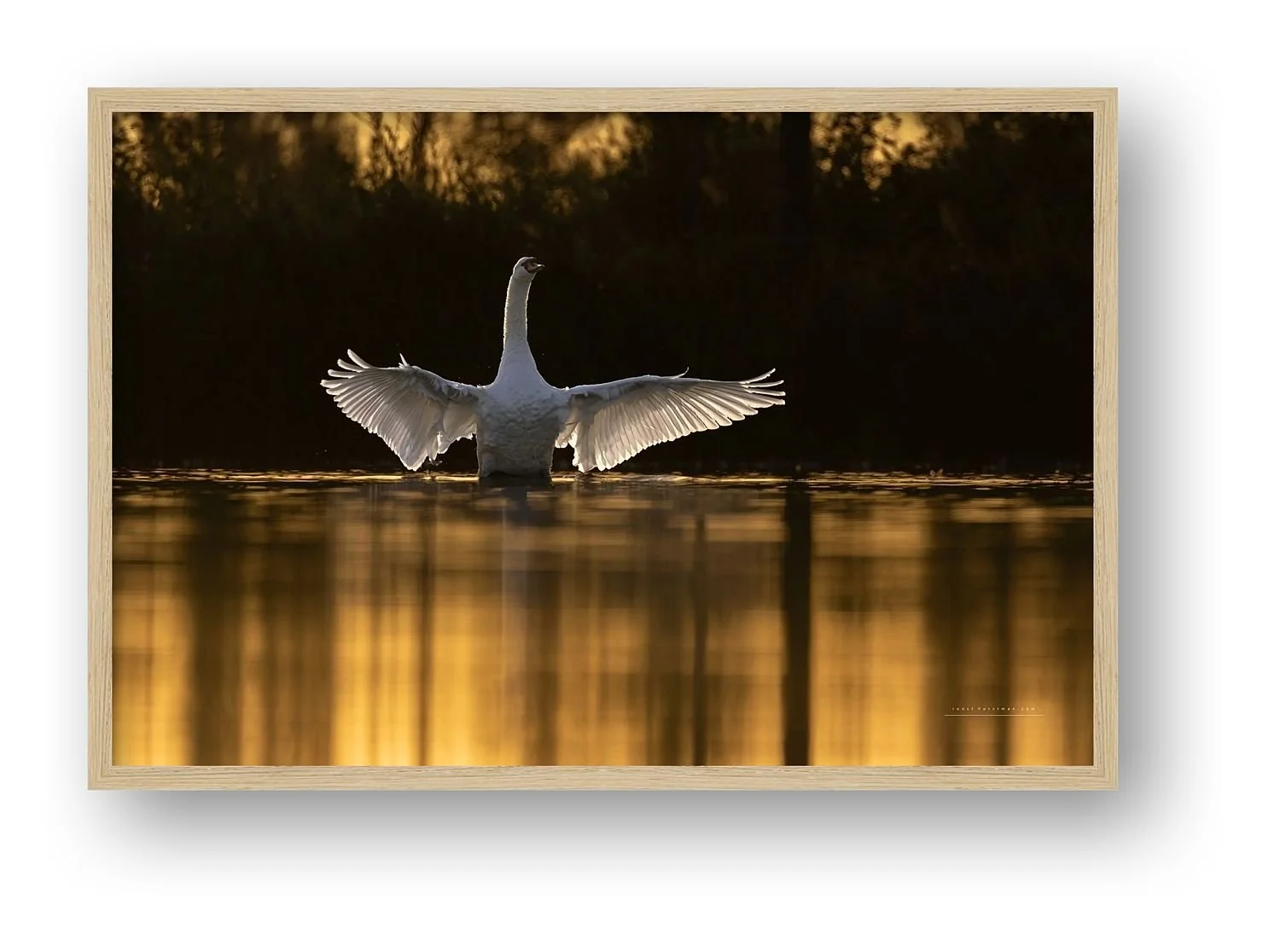 preview_20102d42_1b836303.jpg