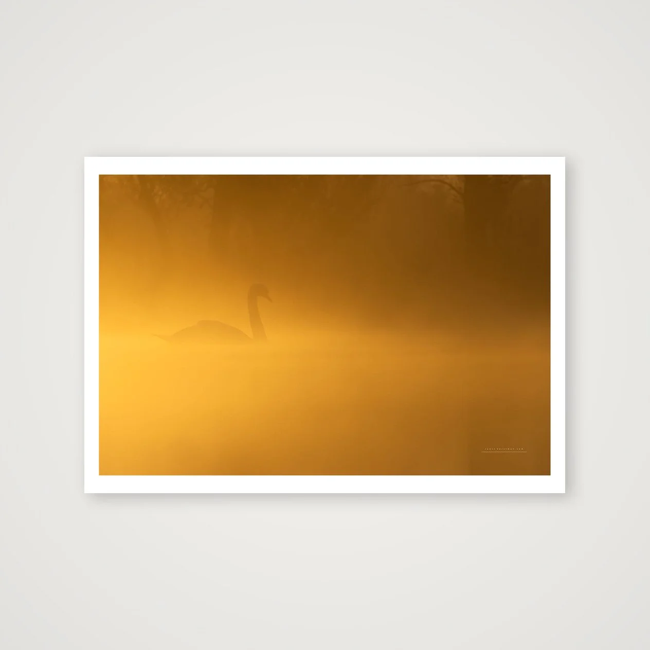 shot_table_34a11055_0a06a783.jpg