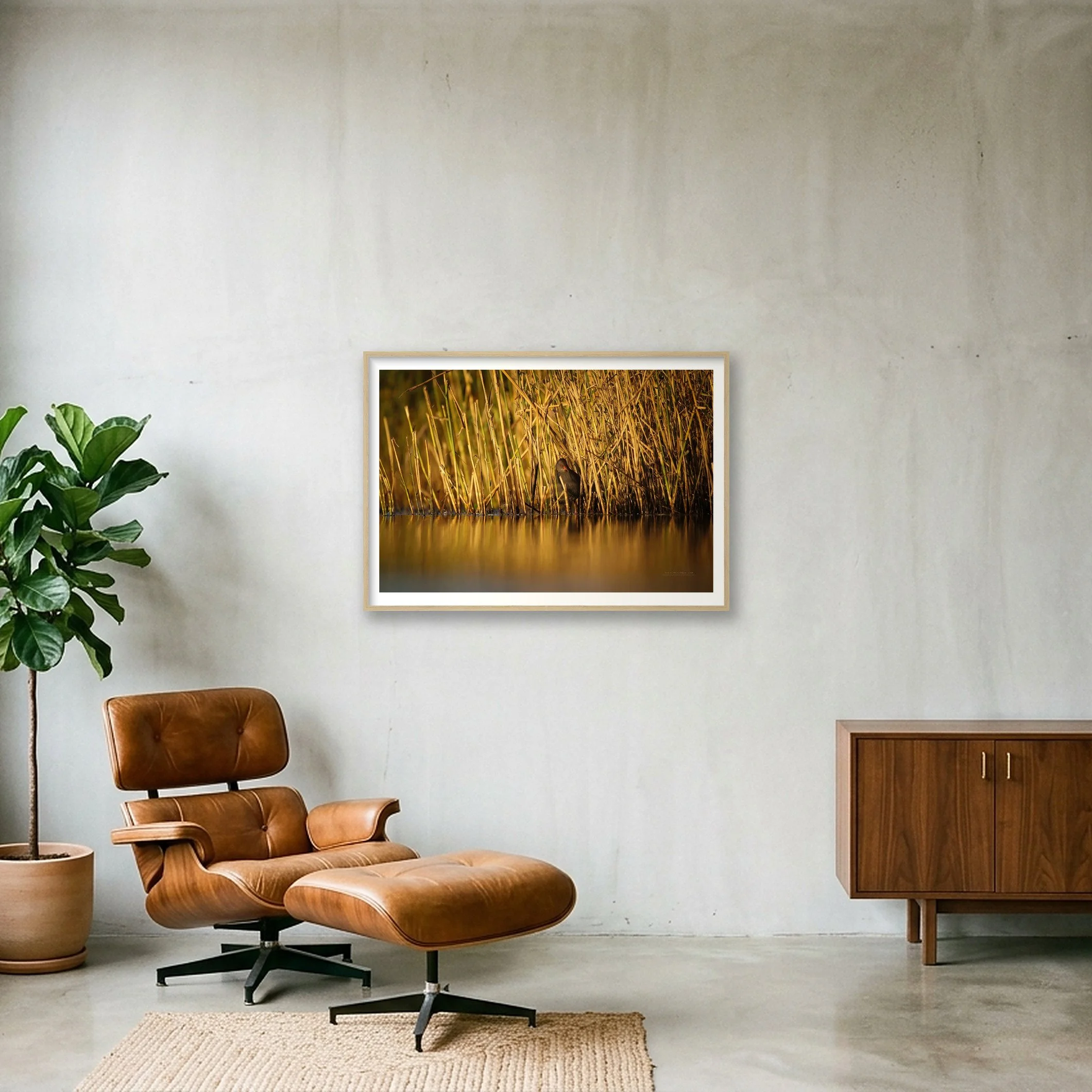 shot_wall_abdd238d_9adf9190.jpg