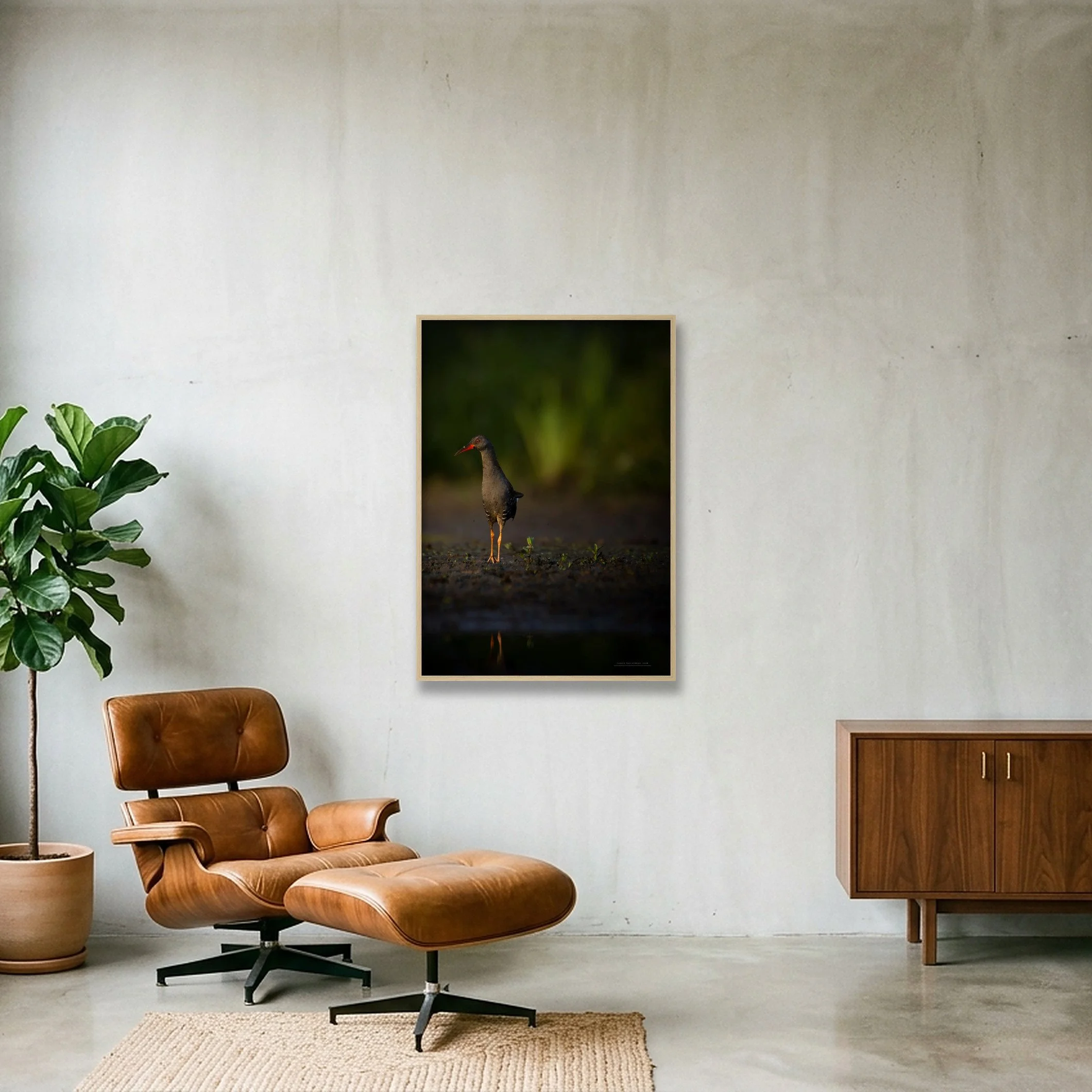 shot_wall_3a275539_6c8ecea9.jpg