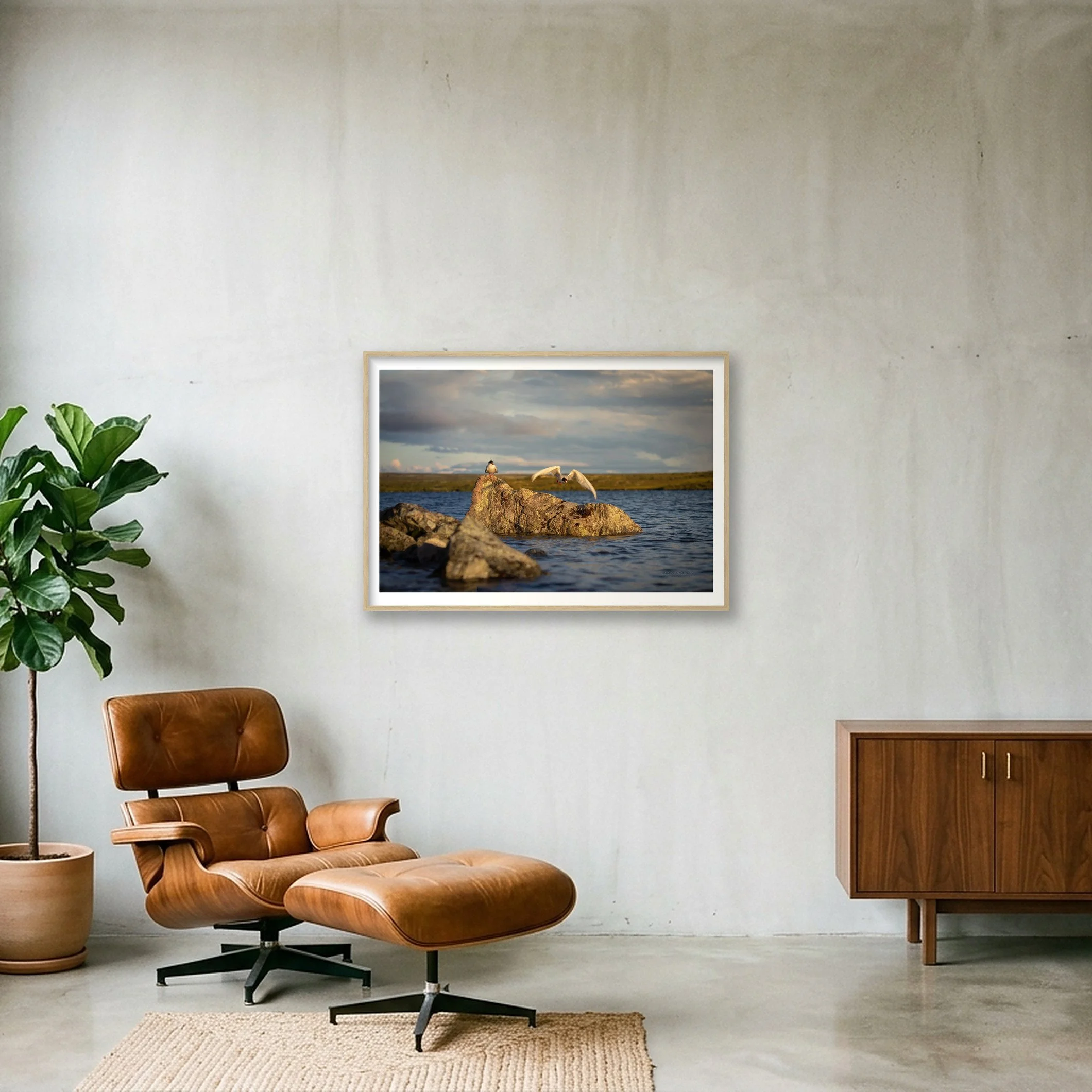 shot_wall_2ab5c52d_28cc2211.jpg