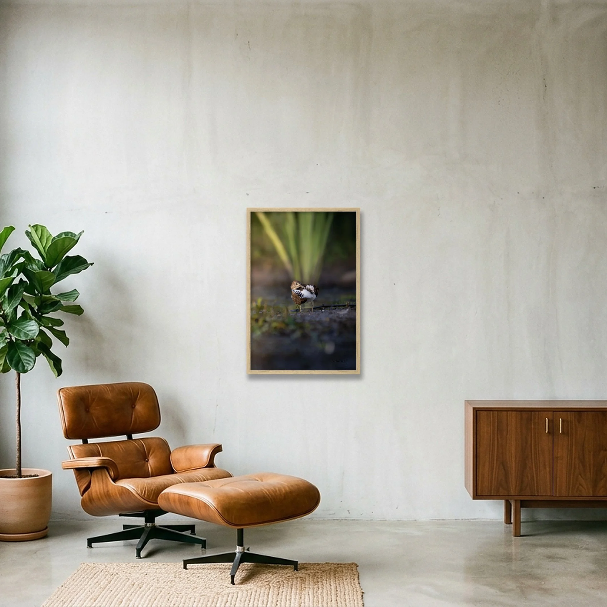 shot_wall_d7d01777_93ad9d55.jpg