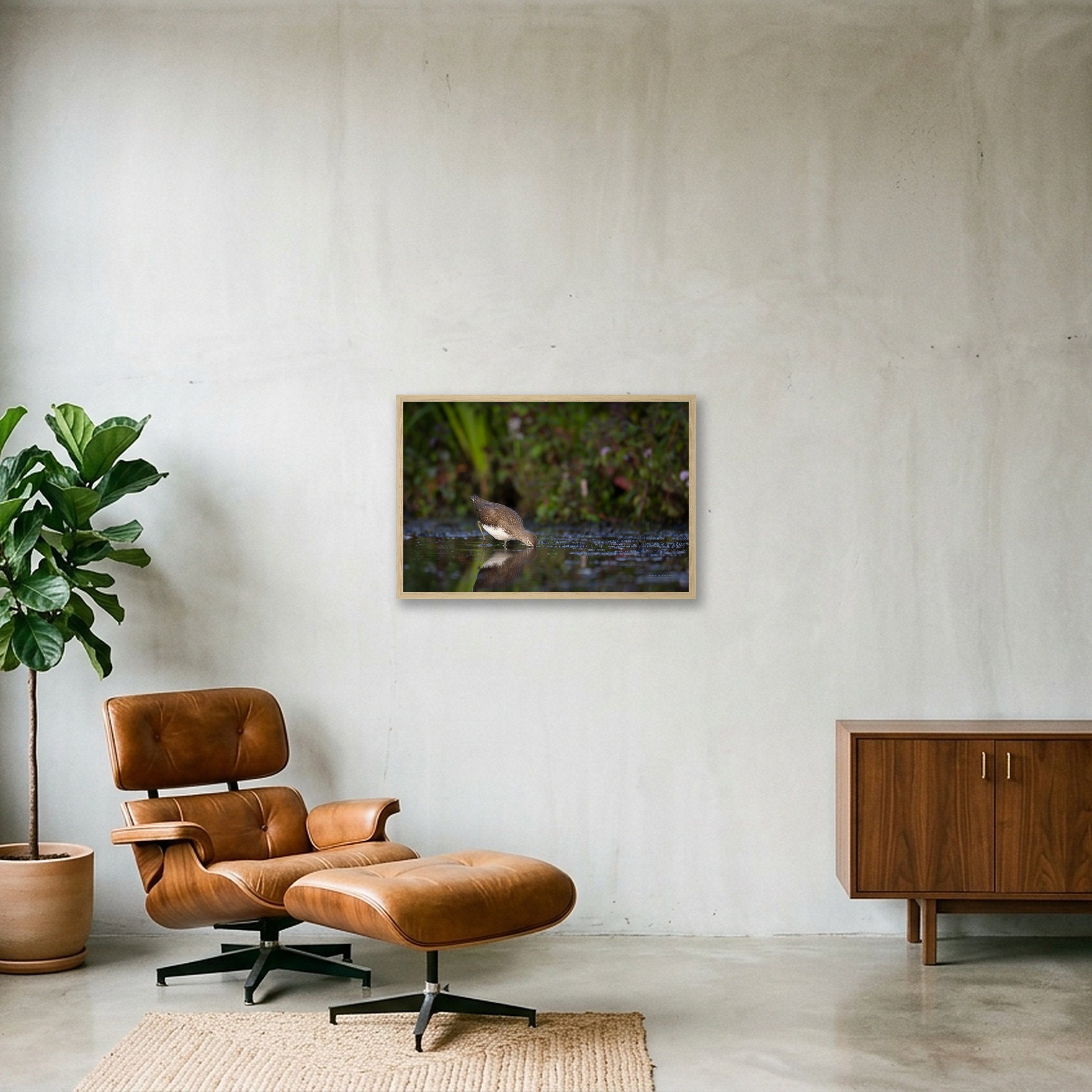shot_wall_87ca094c_3d7d2396.jpg