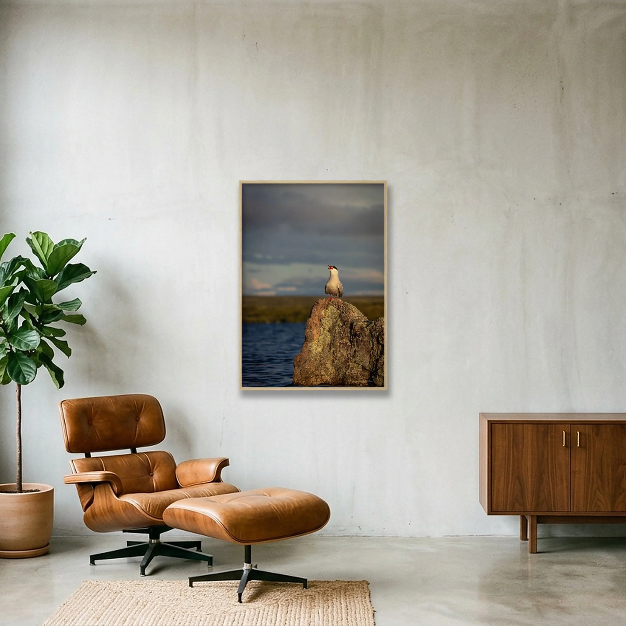 shot_wall_7a67742a_8f15c000.jpg
