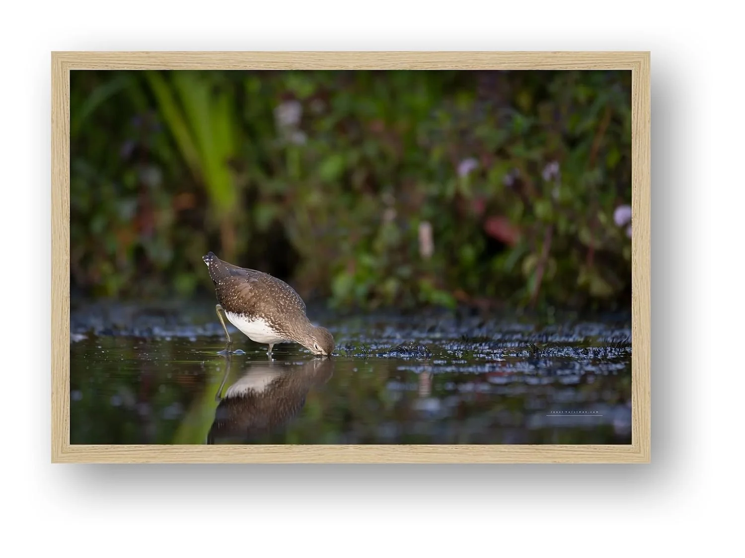 preview_9f9a6160_08e707cb.jpg