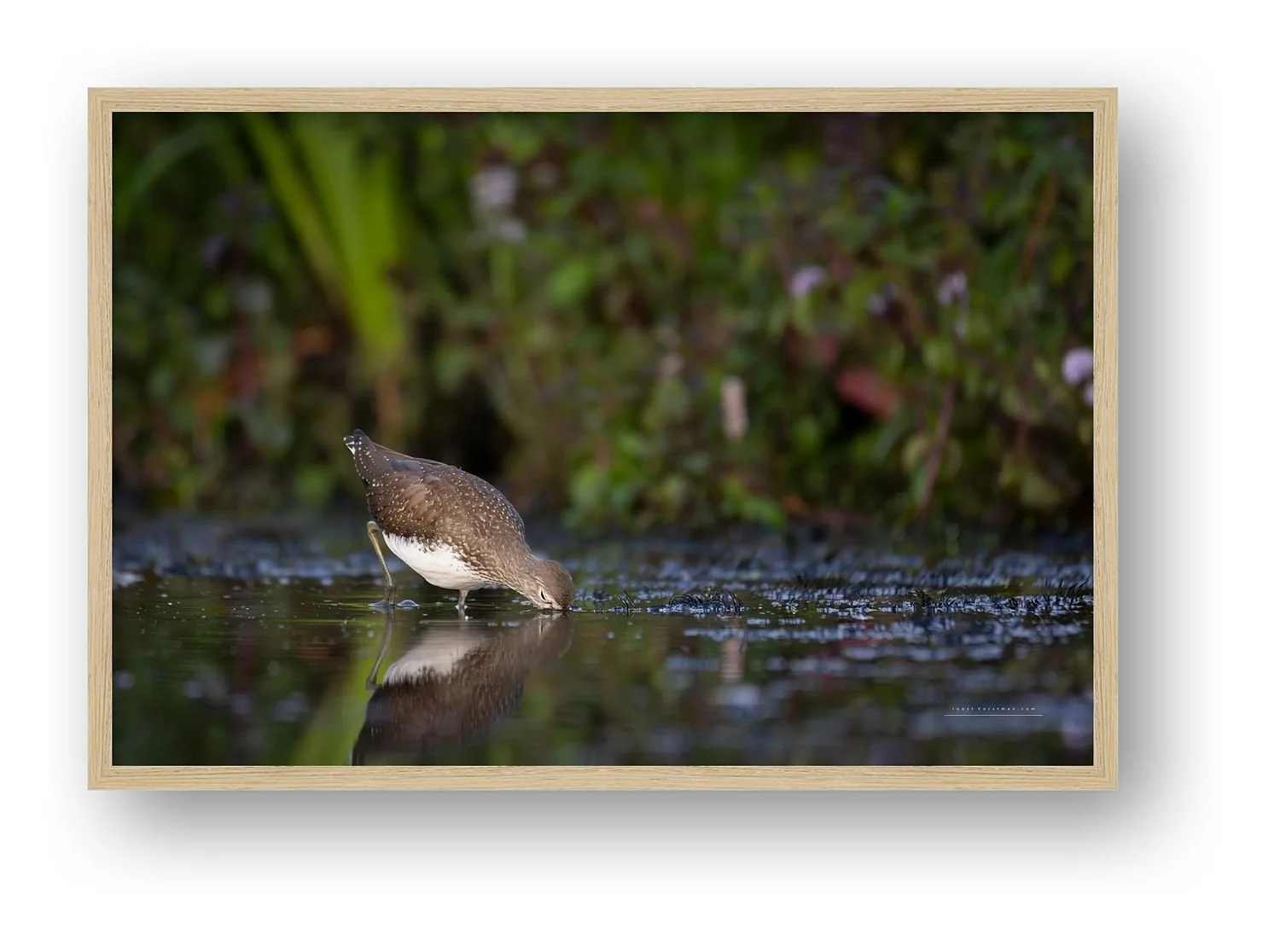 preview_87ca094c_b21904a4.jpg