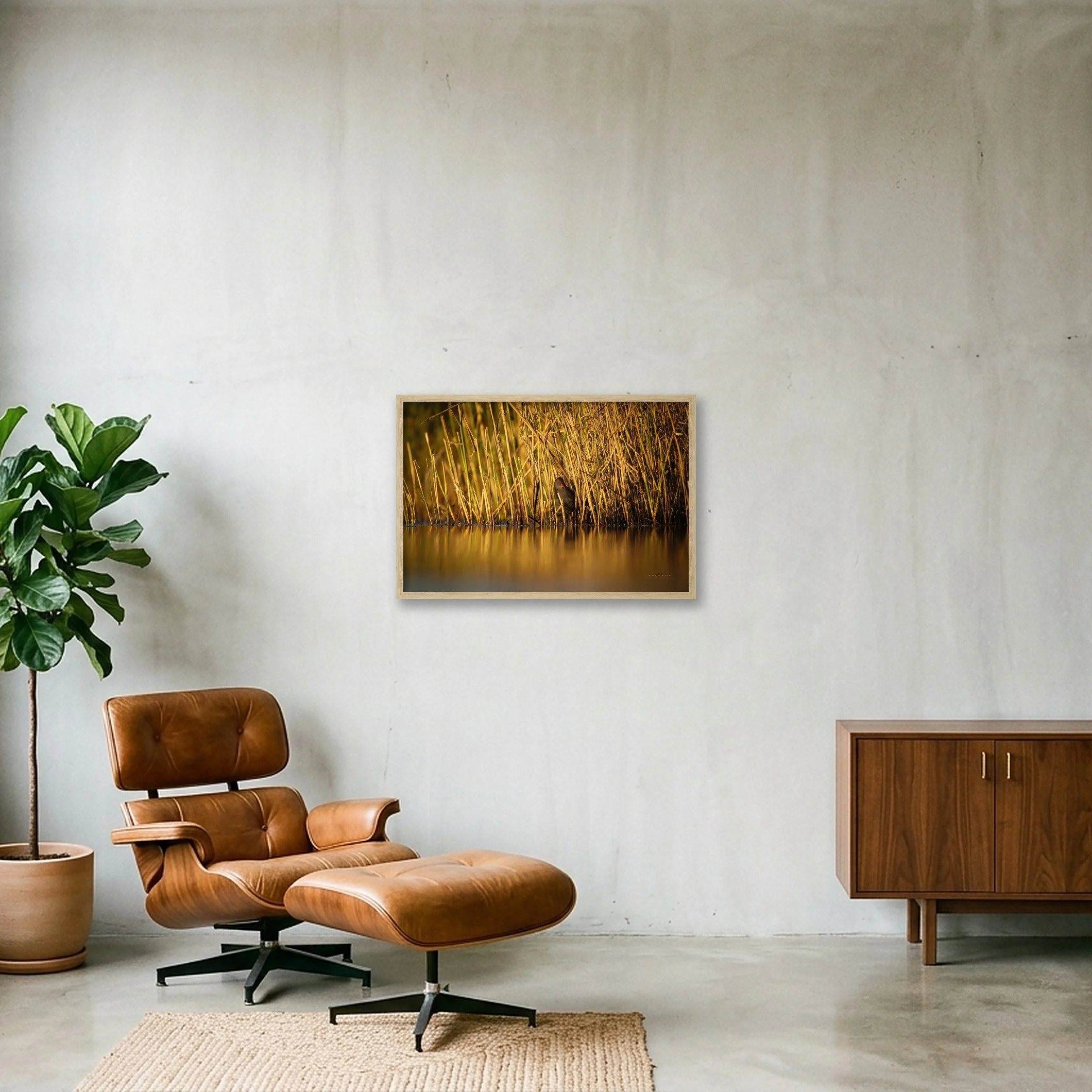 shot_wall_7a62074a_f7616ba7.jpg