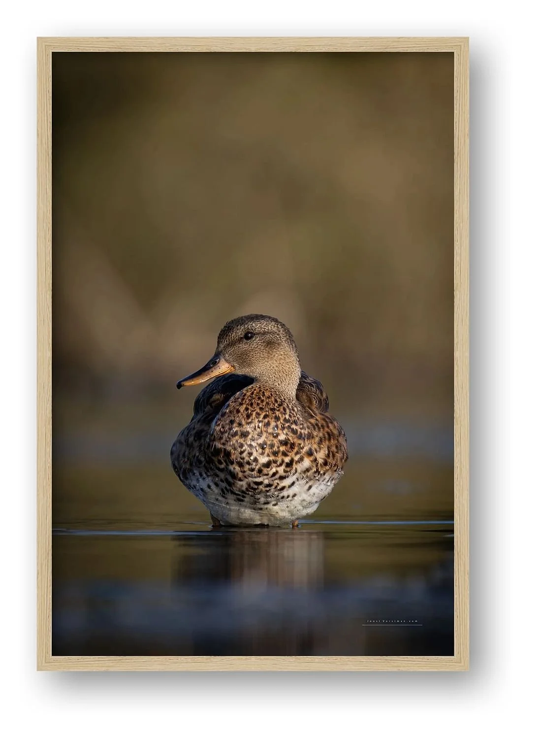 preview_2e289024_a95ed82a.jpg