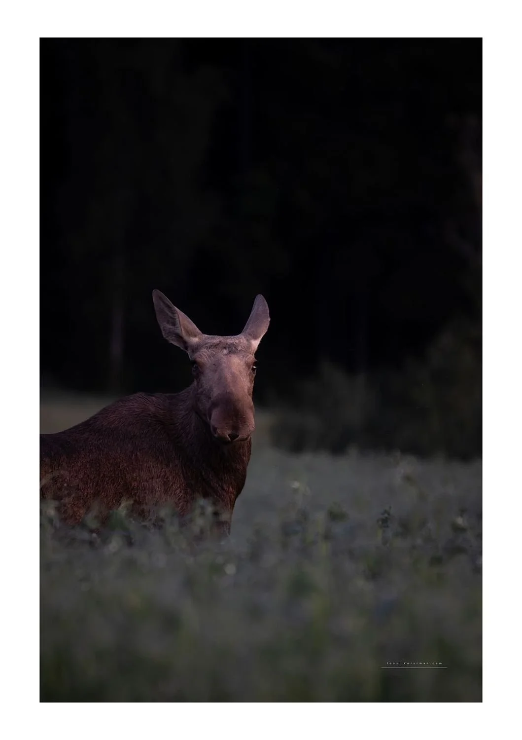 preview_c06e9921_ebabf105.jpg
