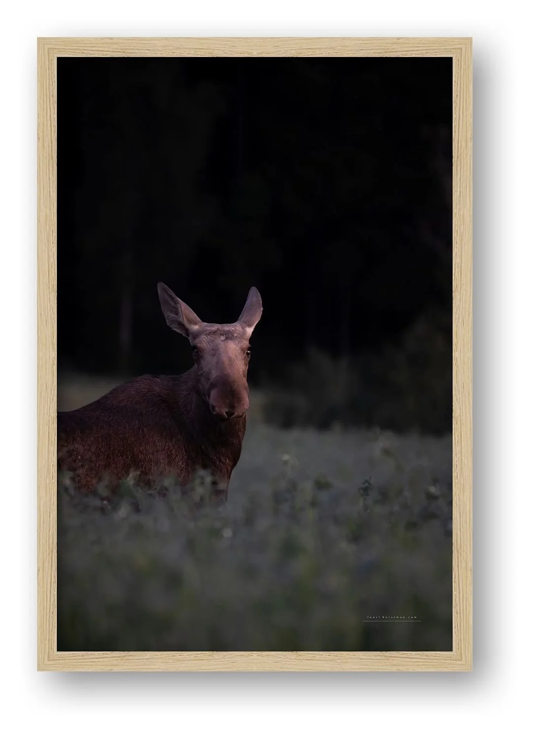 preview_62732366_ce139815.jpg