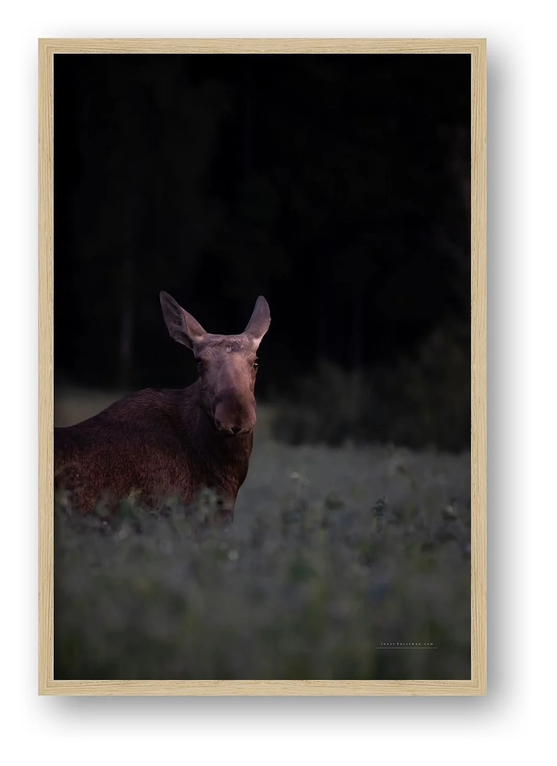 preview_53b31c59_cf84a75d.jpg