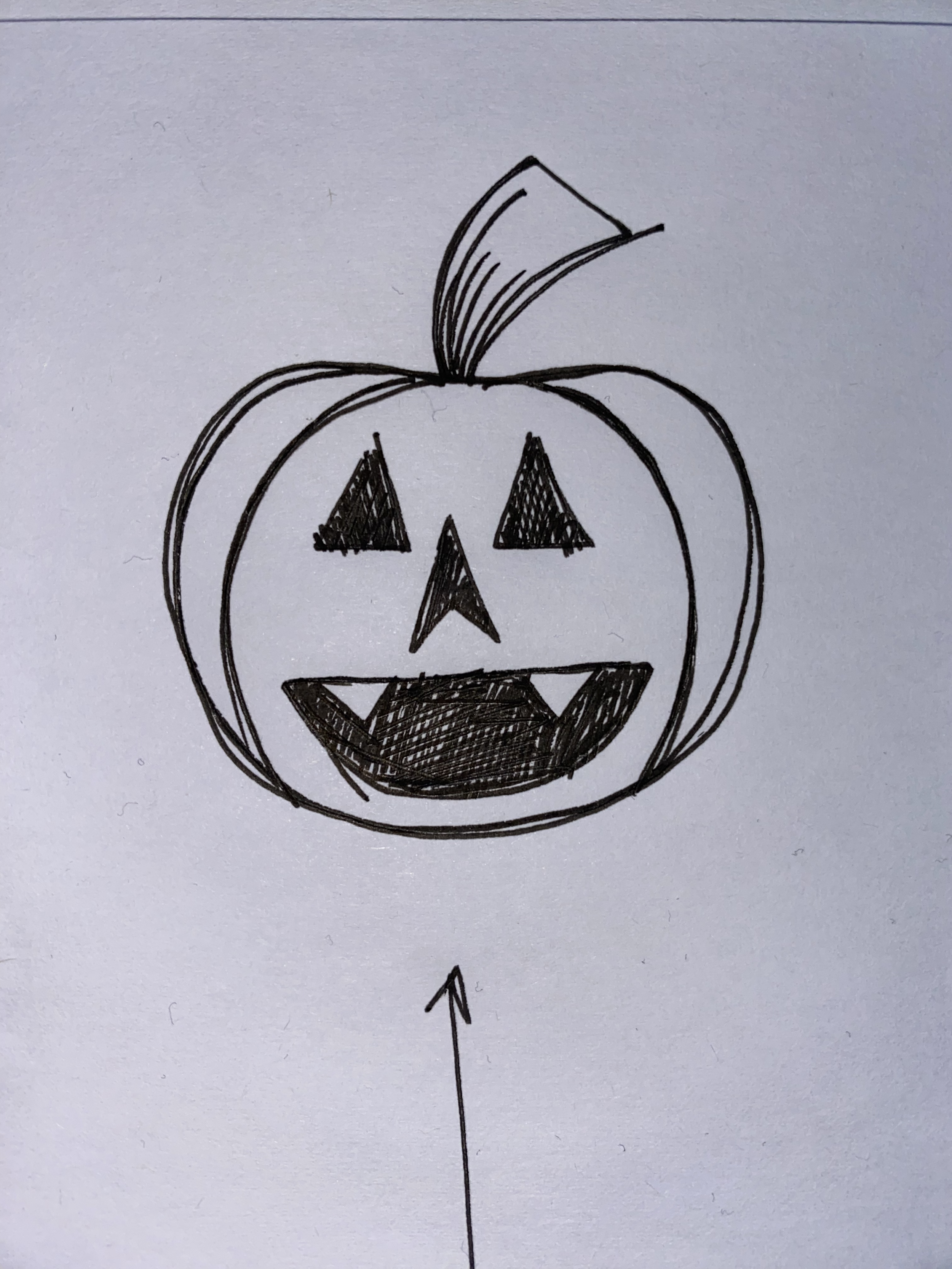 IMG_2507.png