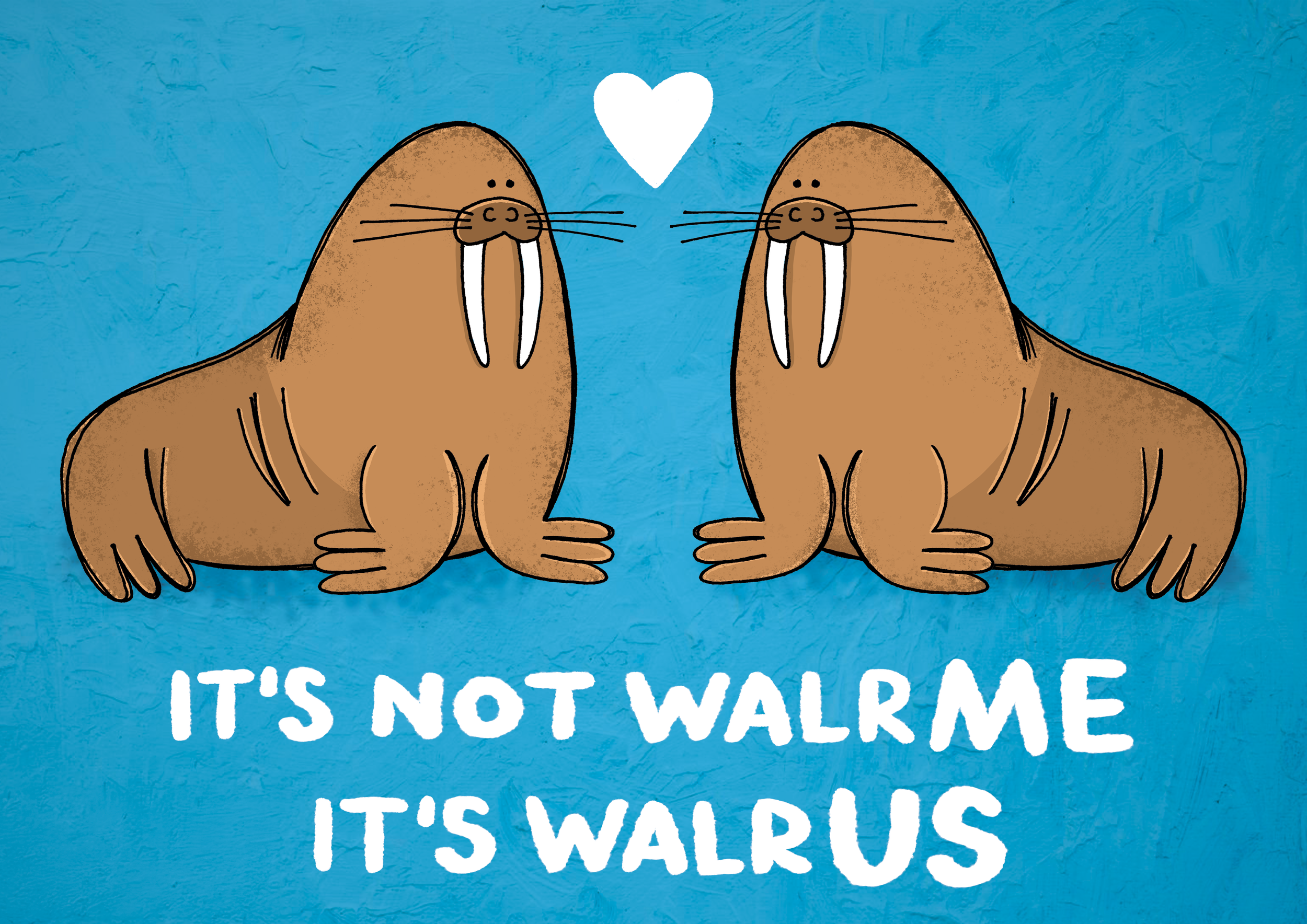WALRUS - Illustration - PNG.png