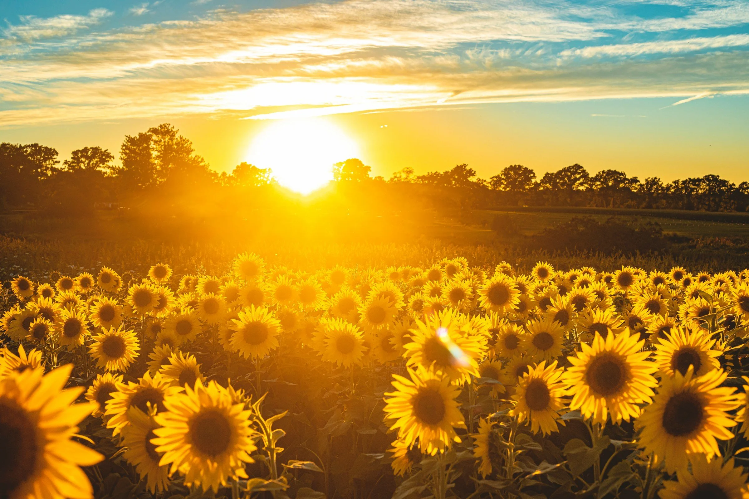 Summertime newsletter is LIVE!