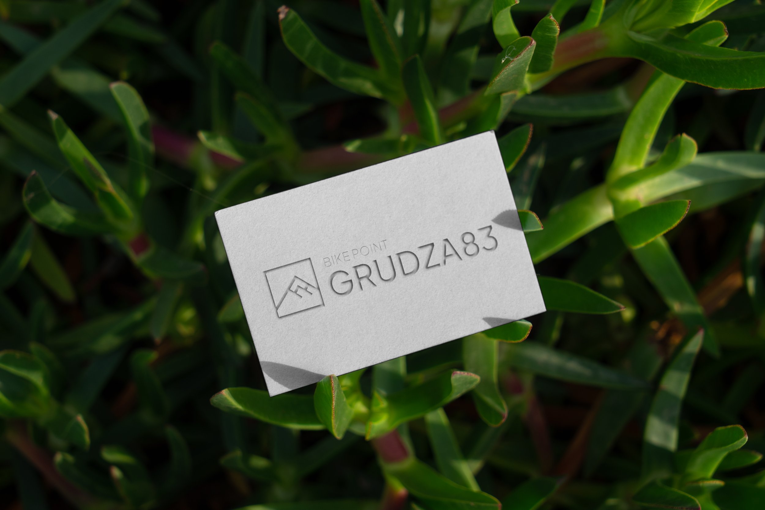 Free_90x50mm_Business_Card_Mockup_ROSLINY.jpg