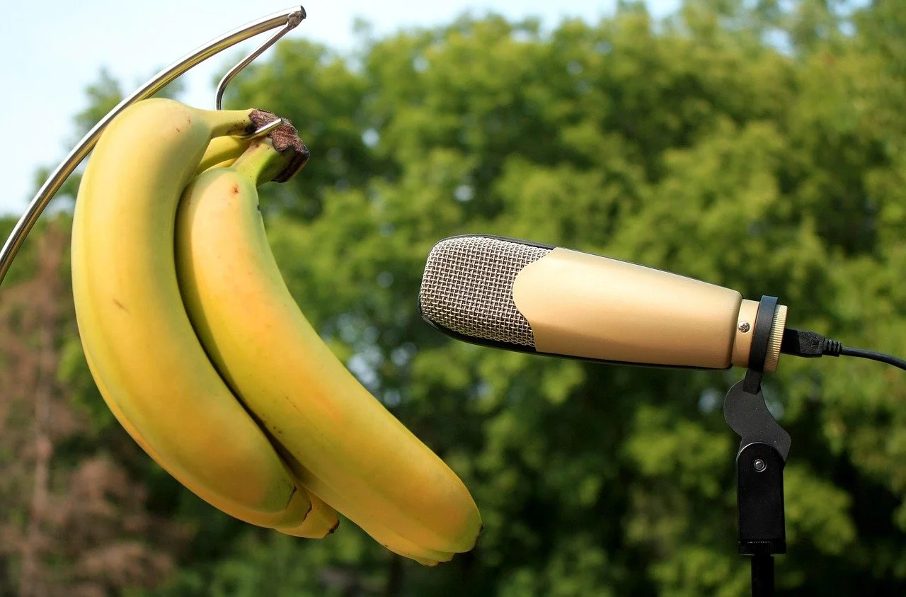 Podcast-Ideen finden