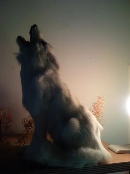 howl.jpg