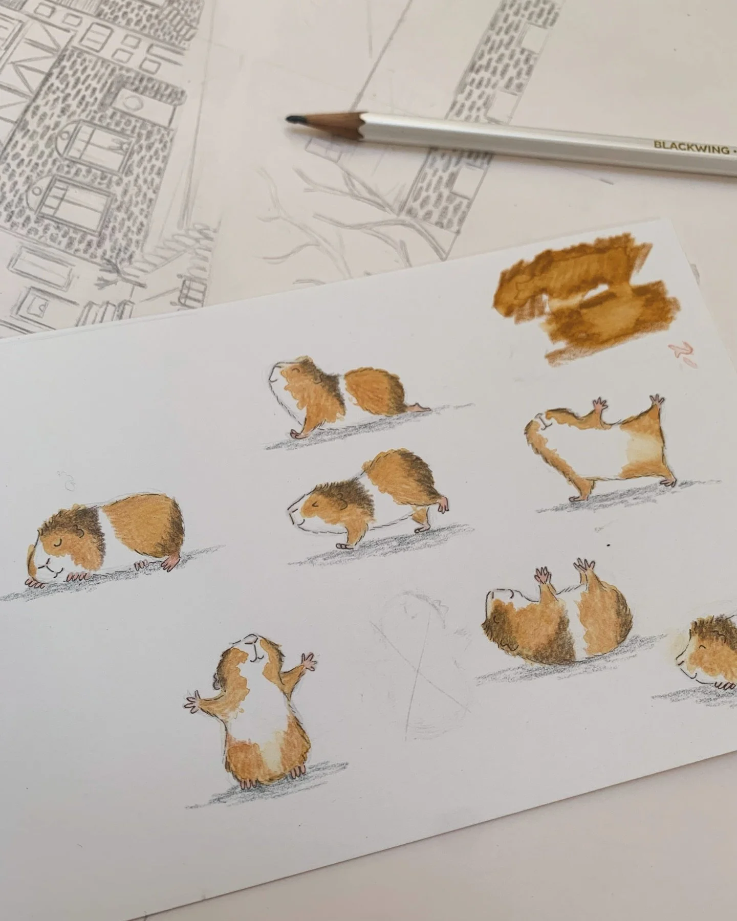 Thought you might like to see the original stretching piggles before I scanned and gave them a digital spruce ✨