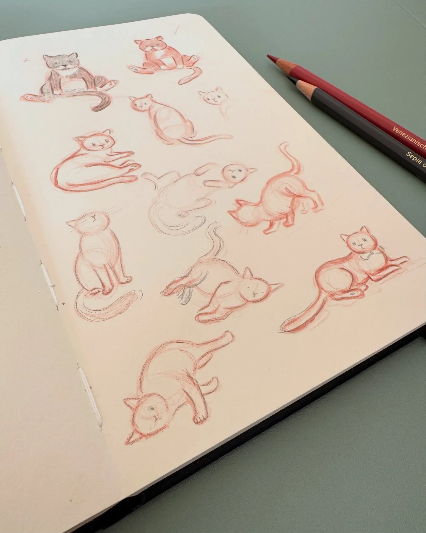 Cat Practice 🐾

I haven&rsquo;t sketched properly for a while, feeling rusty.