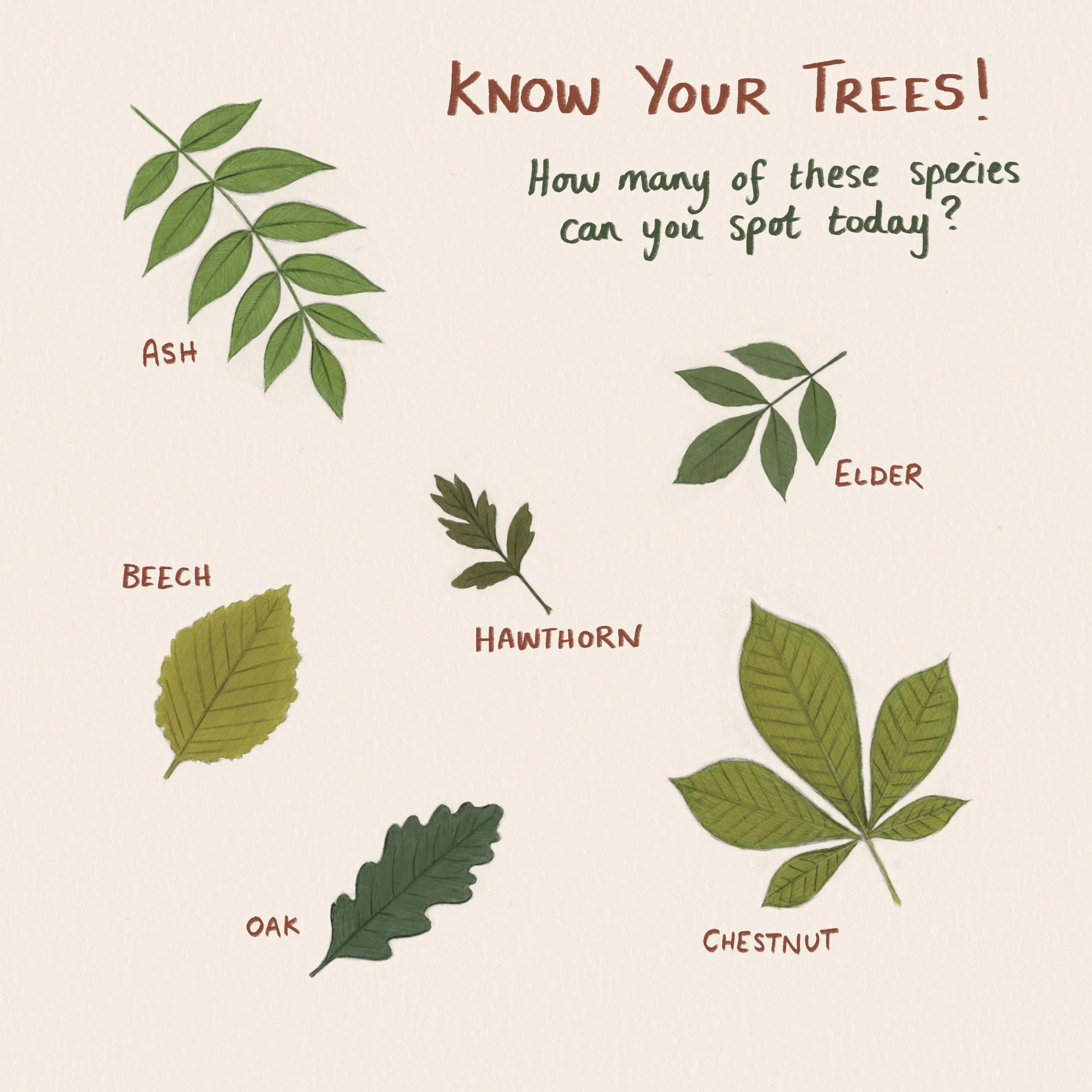 Untitled_Artwork 1.jpg