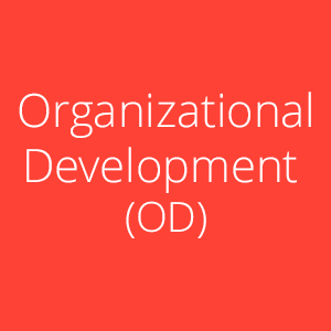 Organizational Development