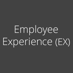 Employee Experience (EX)