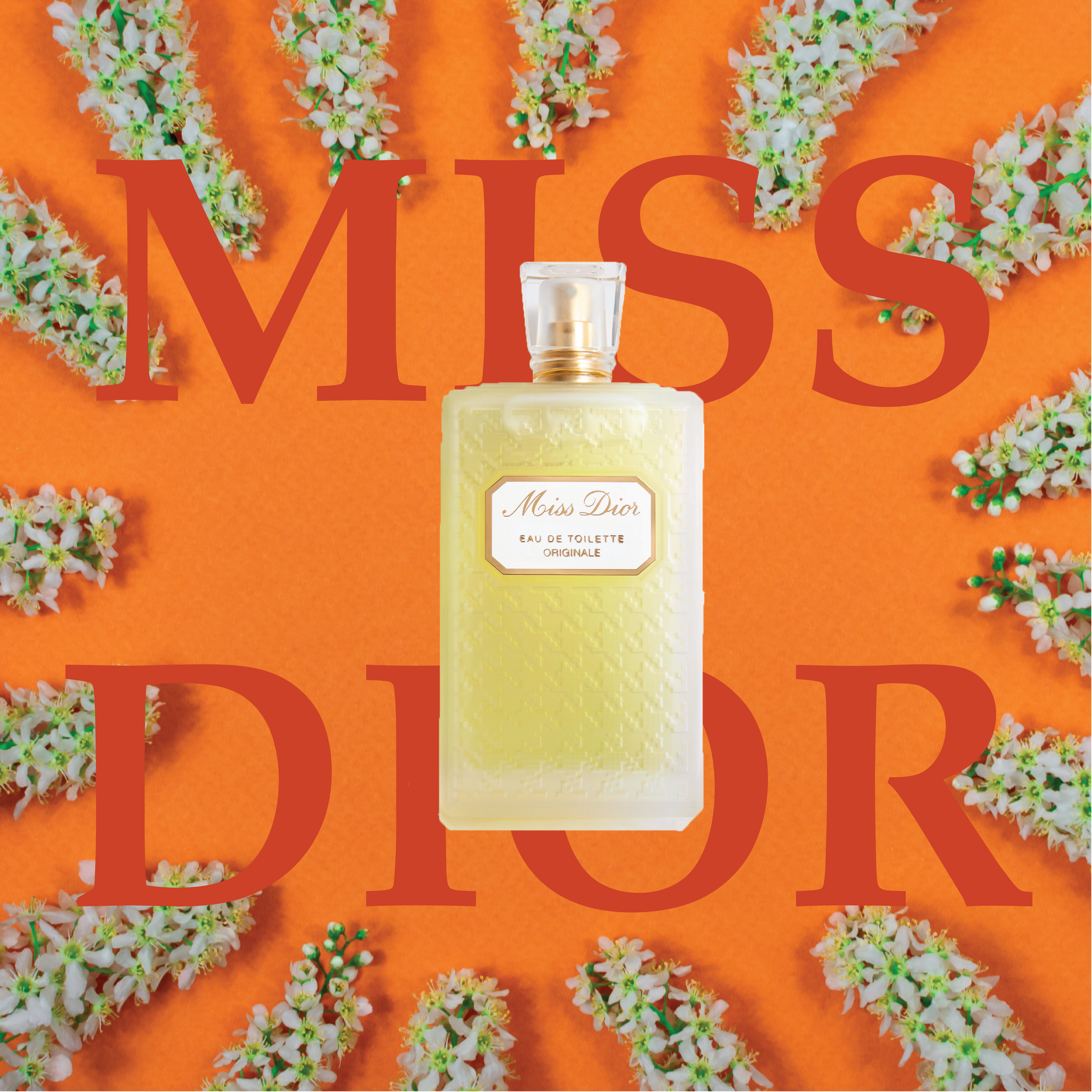 DiorBeautyInstagramPosts-05.png