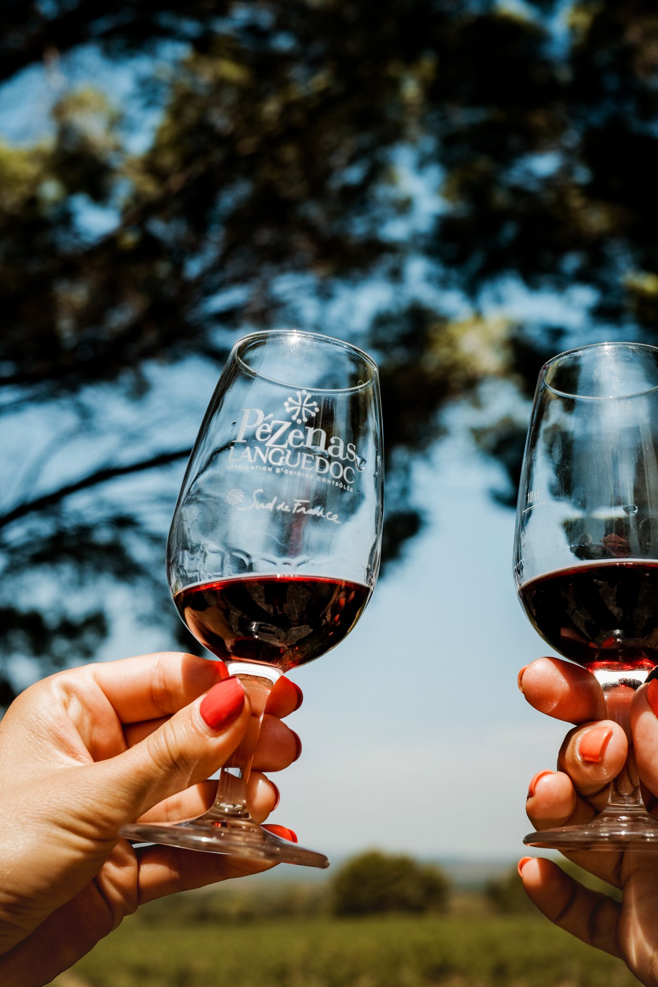 Perfectday-vignoble-09.jpg